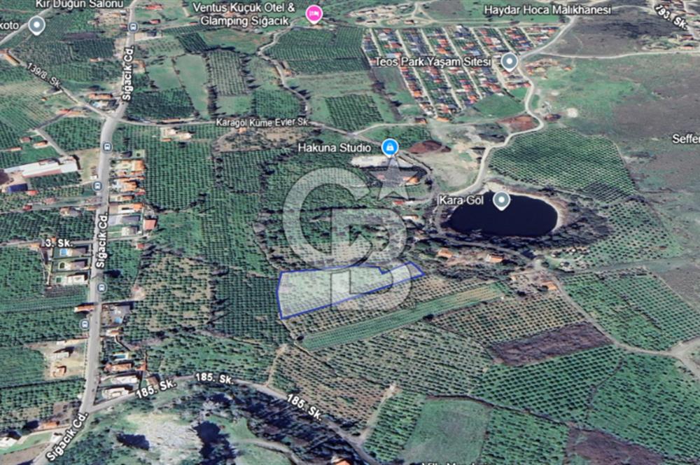 SEFERİHİSAR SIĞACIK'TA SATILIK 4.582M² ARAZİ