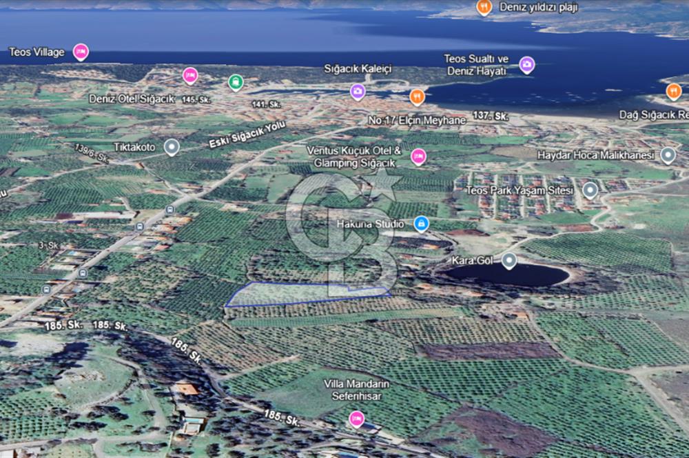 SEFERİHİSAR SIĞACIK'TA SATILIK 4.582M² ARAZİ