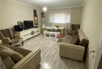 çantada daire - 7 - 373866