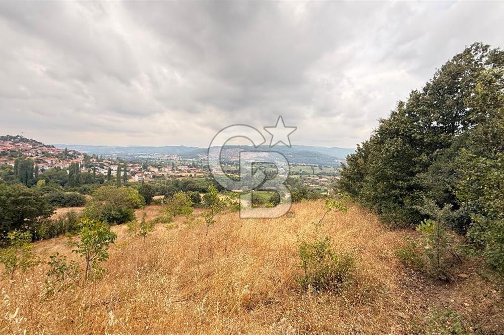 İvrindi Büyükyenice Satılık Tarla