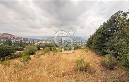 İvrindi Büyükyenice Satılık Tarla