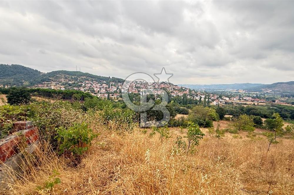 İvrindi Büyükyenice Satılık Tarla