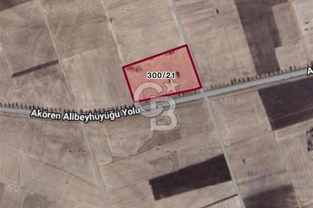 KONYA AKÖREN ORHANİYEDE ASVALT YOLA CEPHE SATILIK TARLA