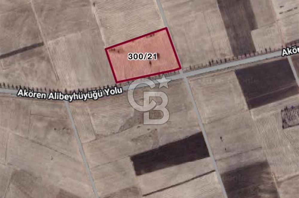 KONYA AKÖREN ORHANİYEDE ASVALT YOLA CEPHE SATILIK TARLA
