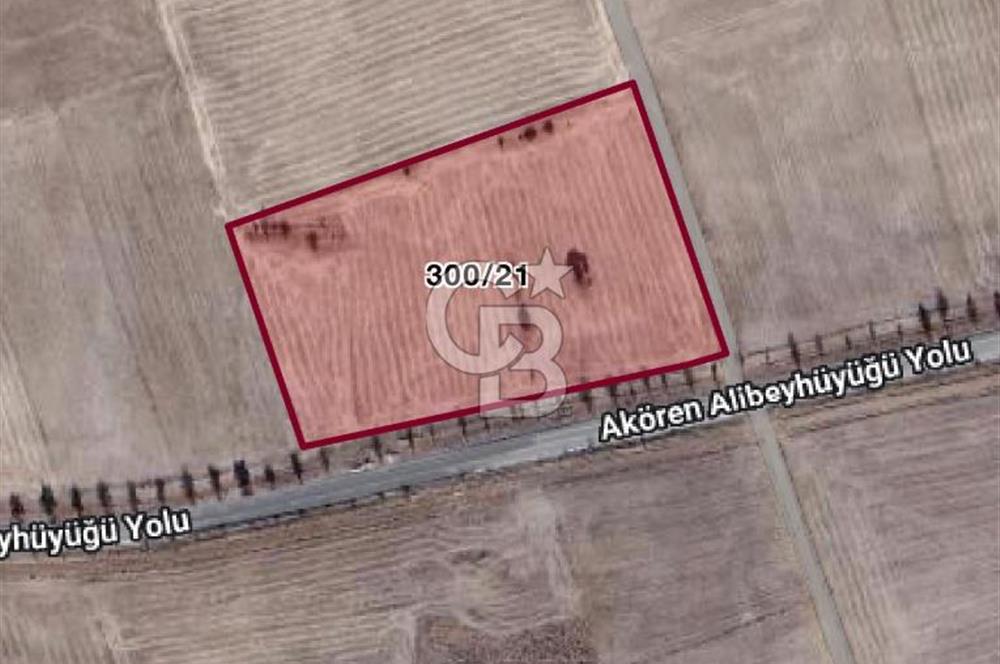 KONYA AKÖREN ORHANİYEDE ASVALT YOLA CEPHE SATILIK TARLA