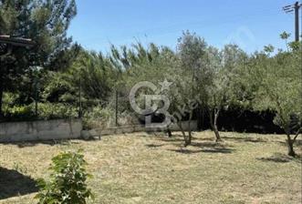 Urla Kuşçular`da İmarlı Arsa - 1 - 373847