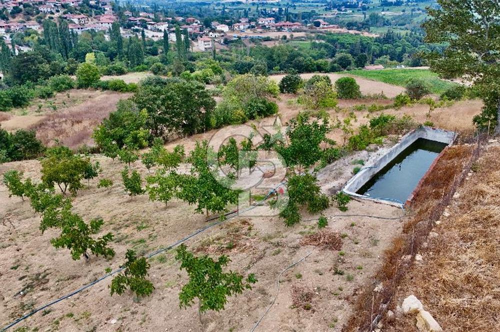 İvrindi Büyükyenice Satılık Tarla