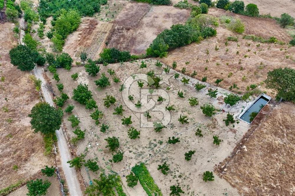 İvrindi Büyükyenice Satılık Tarla