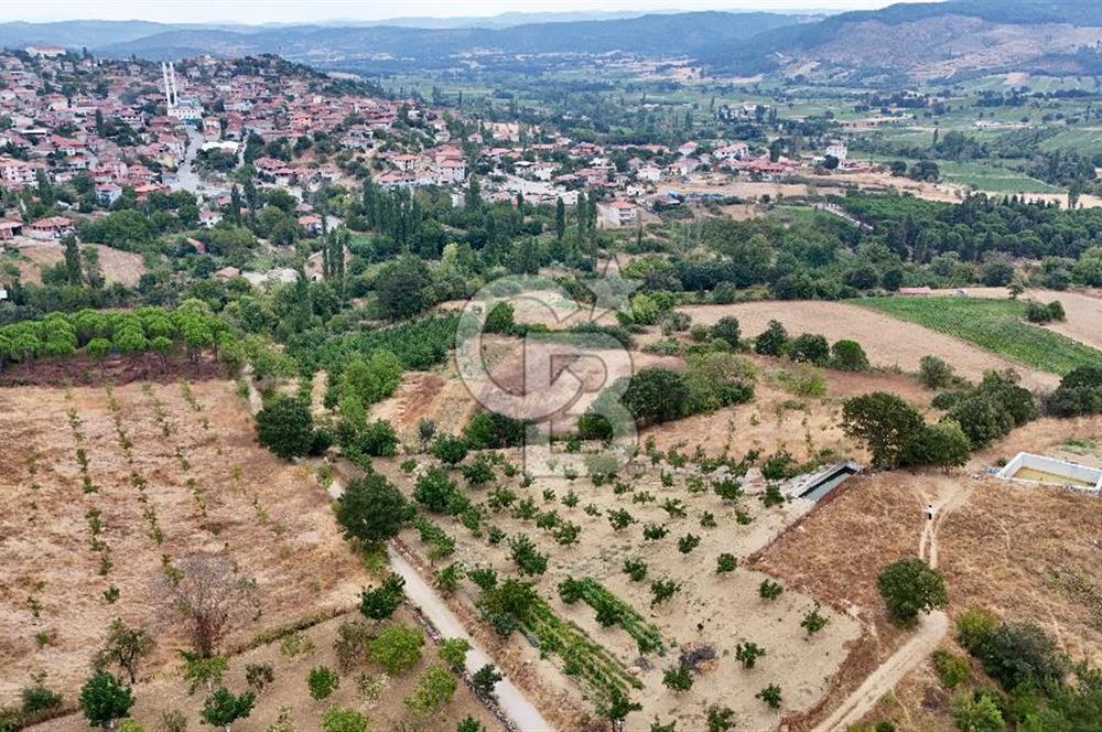 İvrindi Büyükyenice Satılık Tarla