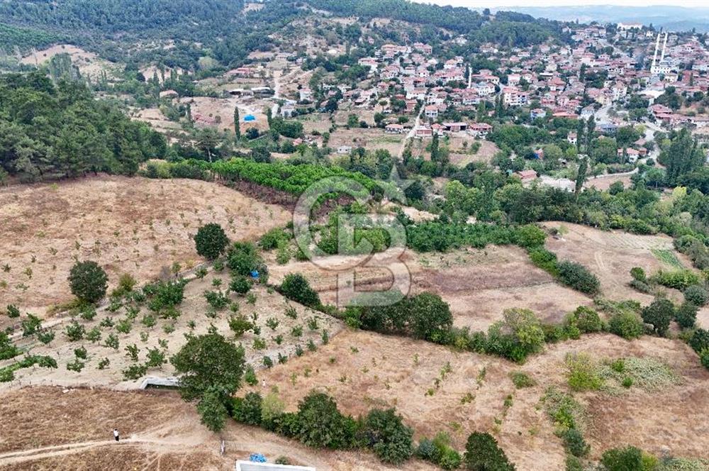 İvrindi Büyükyenice Satılık Tarla