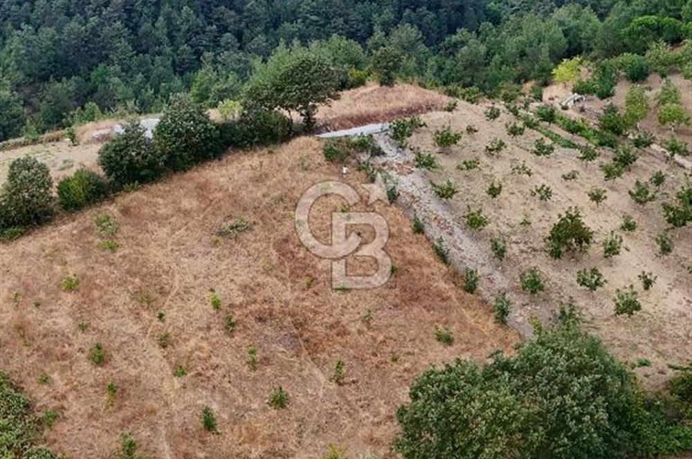 İvrindi Büyükyenice Satılık Tarla