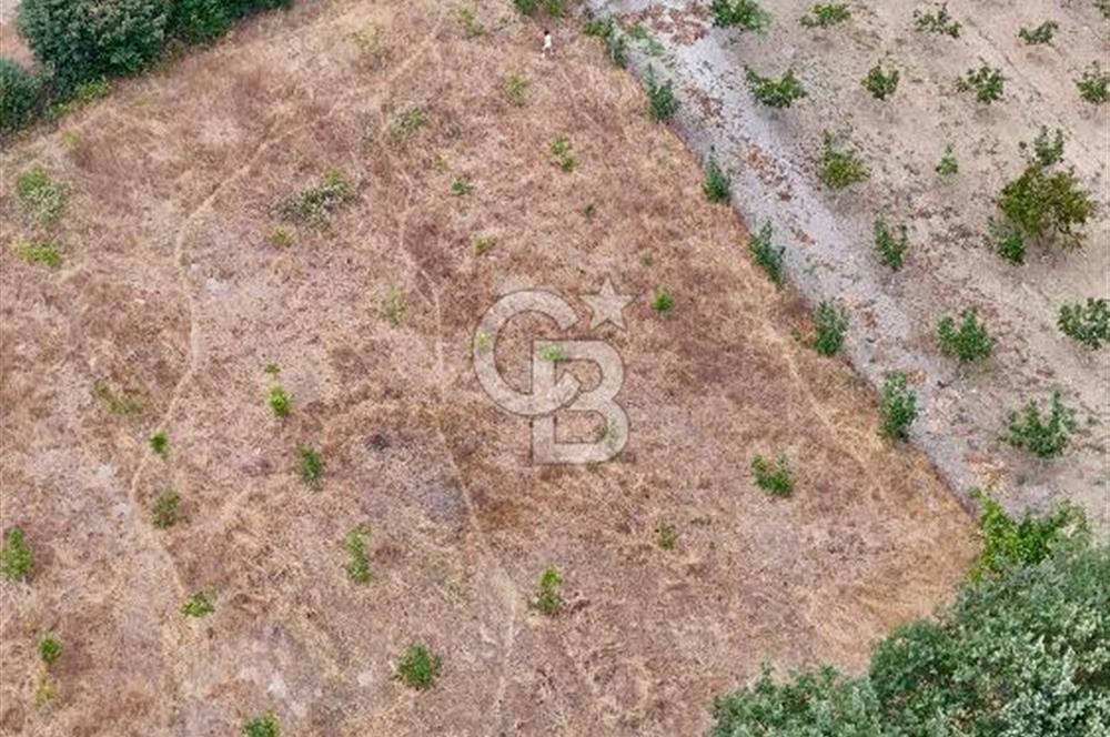 İvrindi Büyükyenice Satılık Tarla