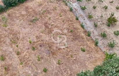 İvrindi Büyükyenice Satılık Tarla