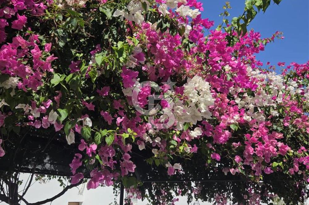 Muğla Bodrum Yalıkavak sporkent 2 +1 satılık villa 