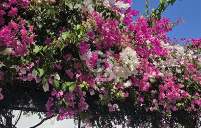 Muğla Bodrum Yalıkavak sporkent 2 +1 satılık villa 