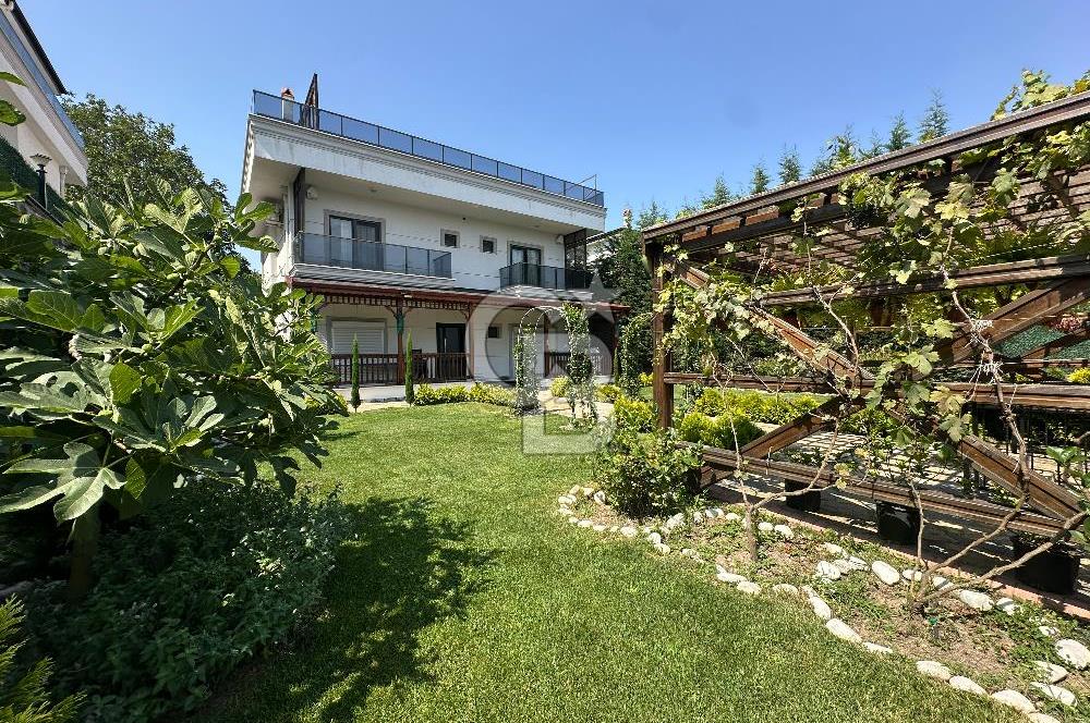 Sapanca'da Lüksün ve Doğanın Buluştuğu Adres: Eşyalı
