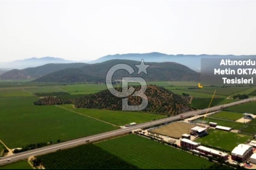 İZMİR TORBALI 153.000.M2 ZEYTİNLİK AYDIN KARAYAOLU KENARI