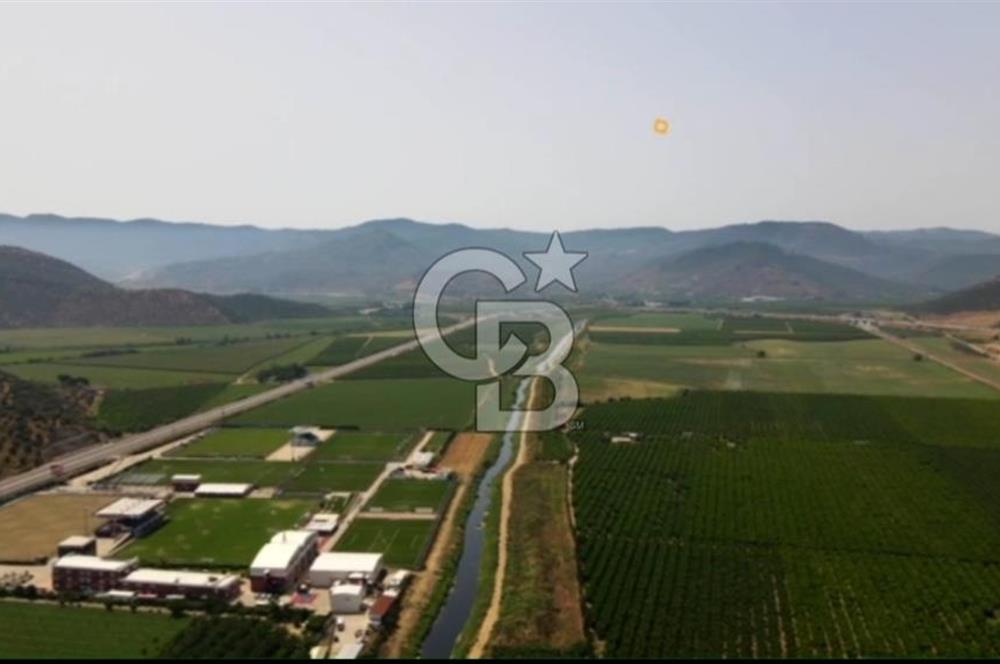 İZMİR TORBALI 153.000.M2 ZEYTİNLİK AYDIN KARAYAOLU KENARI
