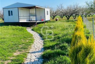 Menemen Türkelli'de Konteyner Evli satılık tarla - 6 - 373956