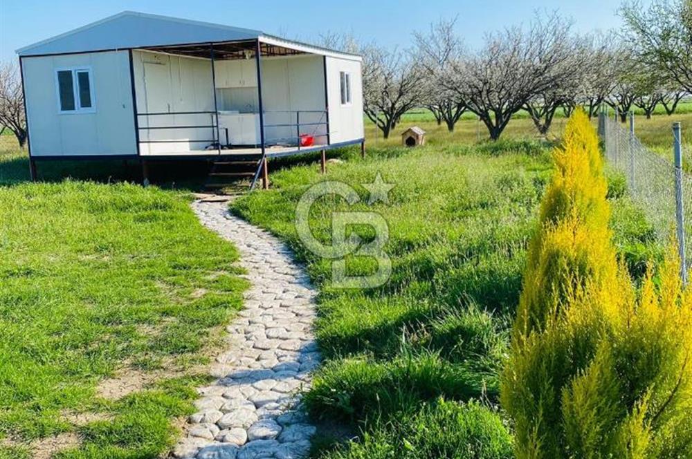Menemen Türkelli'de Konteyner Evli satılık tarla