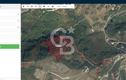 Gürbulak seyrantepe'de Satılık 16.300m2 tarla ve fındıklık..
