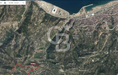Gürbulak seyrantepe'de Satılık 16.300m2 tarla ve fındıklık..