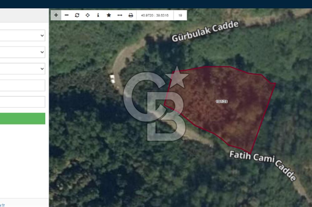 Ortahisar Gürbulak Güzelyalı'da 2720m2 yola cephe fındıklık