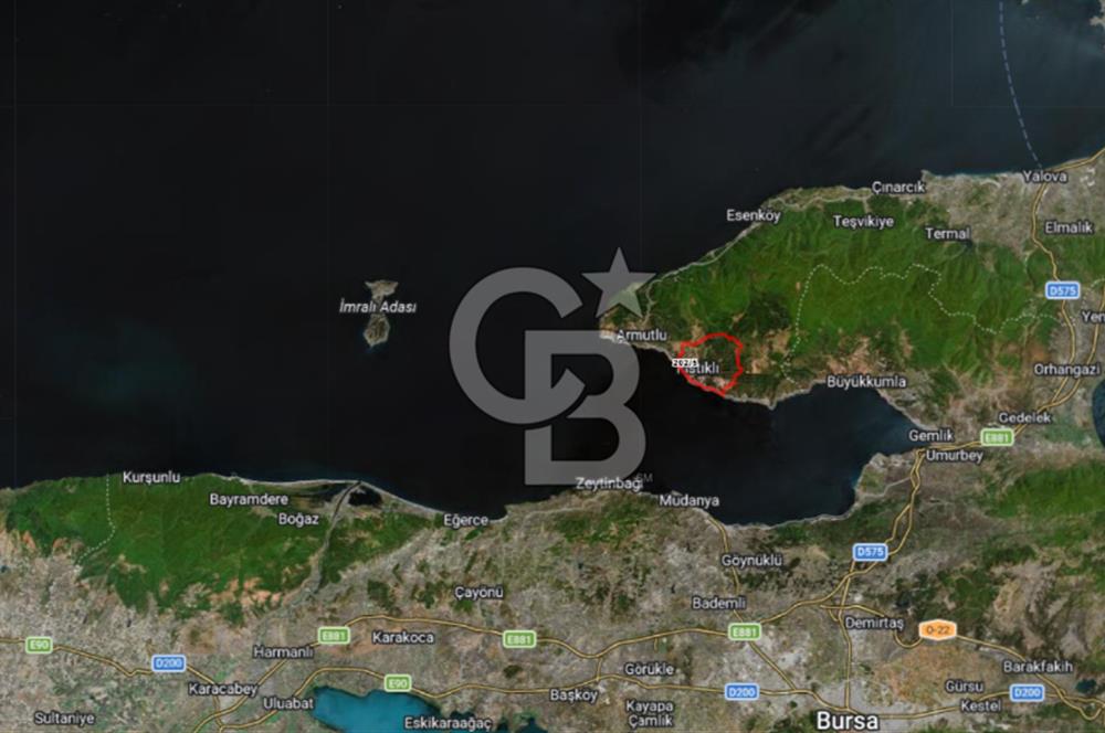 YALOVA ARMUTLU FISTIKLI KÖYÜ'NDE 10.529 M² VERİMLİ DENİZ MANZARALI ZEYTİNLİK