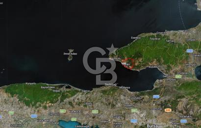 YALOVA ARMUTLU FISTIKLI KÖYÜ'NDE 10.529 M² VERİMLİ DENİZ MANZARALI ZEYTİNLİK