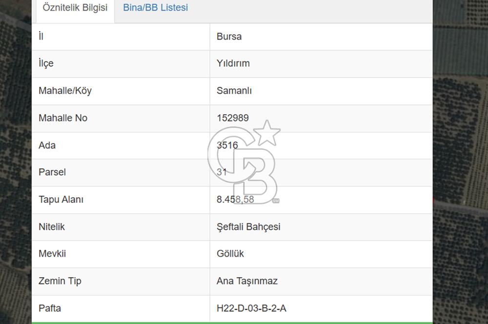YILDIRIM SAMANLI MAHALLESİNDE SATILIK ŞEFTALİ BAHÇESİ 