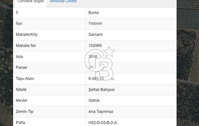 YILDIRIM SAMANLI MAHALLESİNDE SATILIK ŞEFTALİ BAHÇESİ 