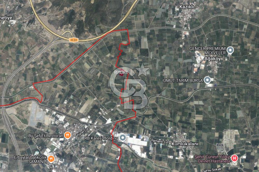 YILDIRIM SAMANLI MAHALLESİNDE SATILIK ŞEFTALİ BAHÇESİ 