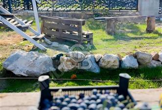MANİSA OTMANLAR SATILIK DENİZ MANZARALI ARSA VE TINY HOUSE - 8 - 374003