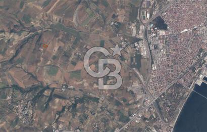 Tekirdağ Süleymanpaşa Yavuz Mahallesi'nde Satılık 5152 m² Tarla