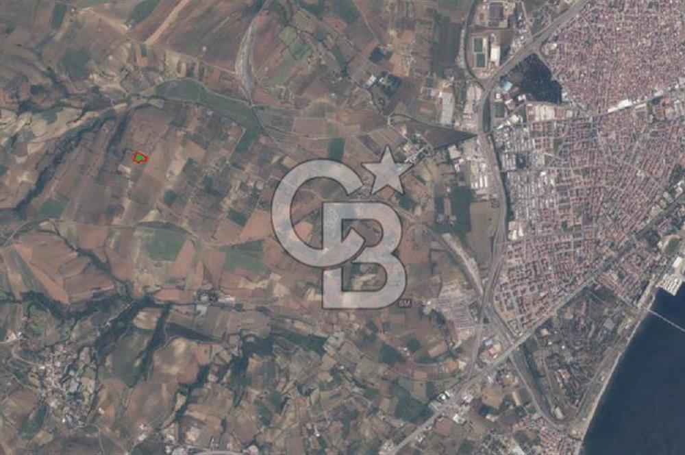 Tekirdağ Süleymanpaşa Yavuz Mahallesi'nde Satılık 5152 m² Tarla