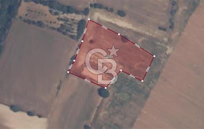 Tekirdağ Süleymanpaşa Yavuz Mahallesi'nde Satılık 5152 m² Tarla