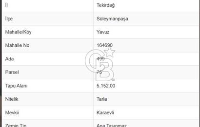 Tekirdağ Süleymanpaşa Yavuz Mahallesi'nde Satılık 5152 m² Tarla