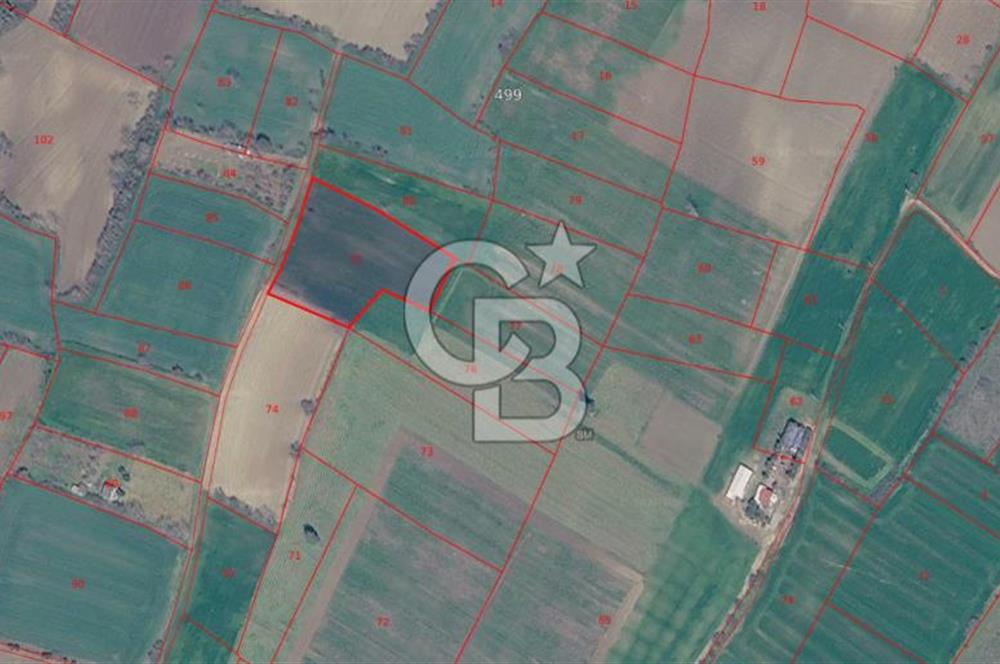 Tekirdağ Süleymanpaşa Yavuz Mahallesi'nde Satılık 5152 m² Tarla