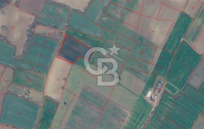 Tekirdağ Süleymanpaşa Yavuz Mahallesi'nde Satılık 5152 m² Tarla