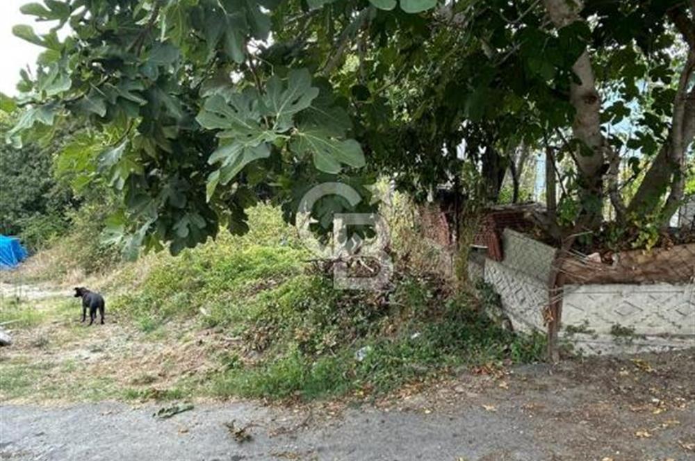 KÖYİÇİNDE 0,35 KONUT İMARLI SAHİLE 2 KM 
