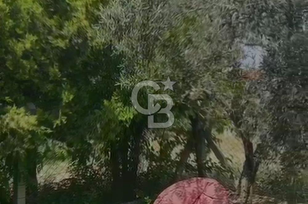 İskele'de 2+1 Satılık Tek Kat Ahşap Ev 258 m2 Arsa içinde