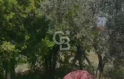 İskele'de 2+1 Satılık Tek Kat Ahşap Ev 258 m2 Arsa içinde
