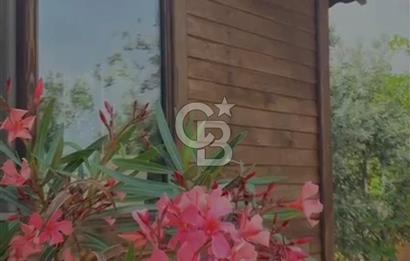 İskele'de 2+1 Satılık Tek Kat Ahşap Ev 258 m2 Arsa içinde