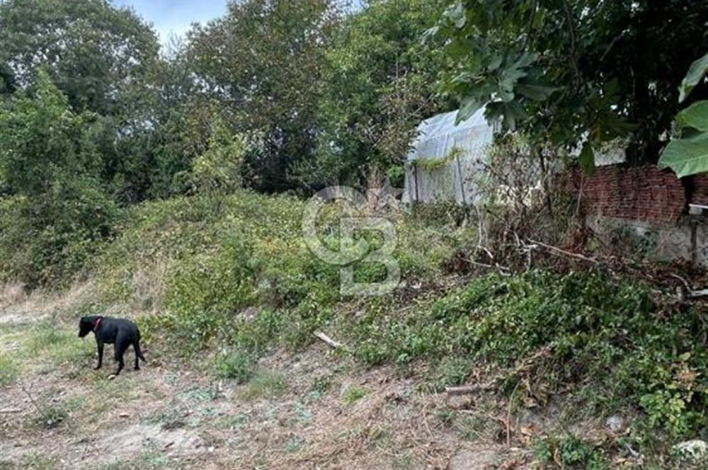 KÖYİÇİNDE 0,35 KONUT İMARLI SAHİLE 2 KM 