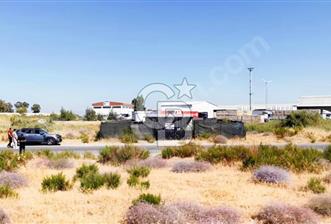 Sasalı Merkezde 314 m² Arsa 65 m² Hazır Ev - 1 - 374086