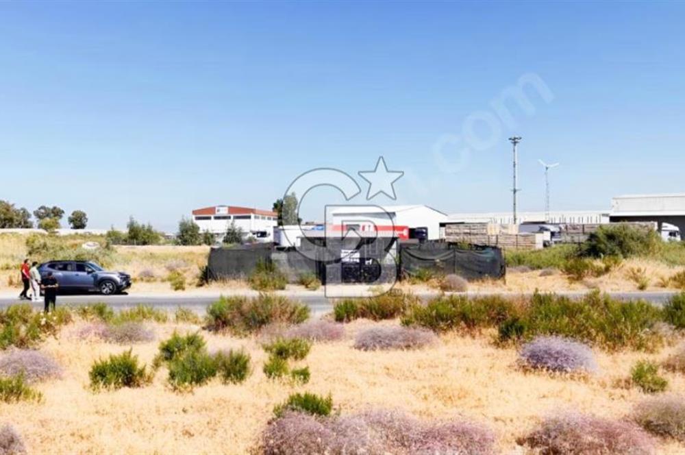 Sasalı Merkezde 314 m² Arsa 65 m² Hazır Ev