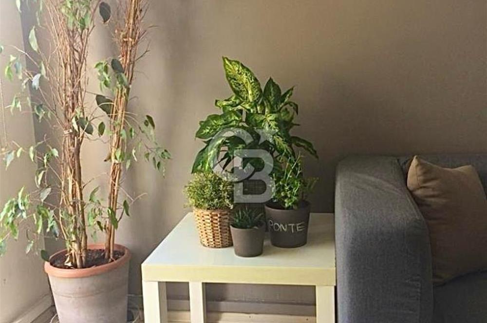 TARİHİ TÜNEL GEÇİDİ İŞ HANINDA 42 M2, 1+1 TERASLI MASRAFSIZ OFİS