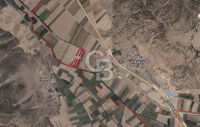 DİNAR YAKA KÖYÜ YATIRIMLIK 12.500 M² SATILIK TARLA