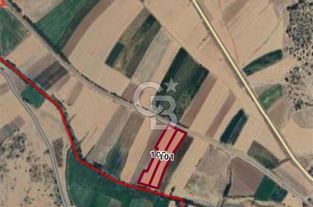 DİNAR YAKA KÖYÜ YATIRIMLIK SATILIK TARLA 11.200 M²