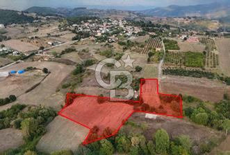 YALOVA ALTINOVA AHMEDİYEDE 10.068 M²|KADASTRO YOLU+ELEKTRİK+SU - 1 - 374168